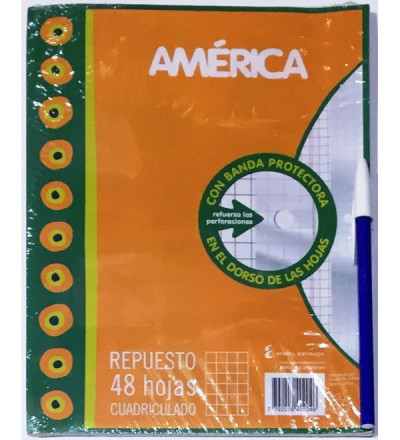 REPUESTO AMERICA 48 HOJAS CUADRICULADO