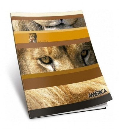 CUADERNO AMERICA TAPA FLEXIBLE 48 HOJAS CUADRICULADO