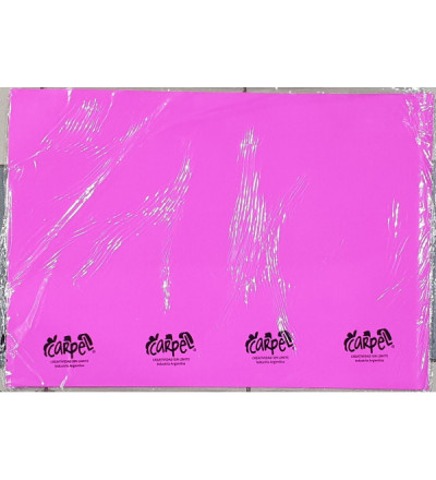 CARTULINA FUCSIA X 10 UNIDADES