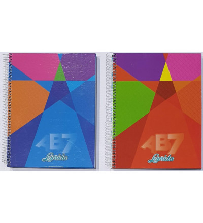 CUADERNO LAPRIDA AB7 21X27 100 HOJAS RAYADO