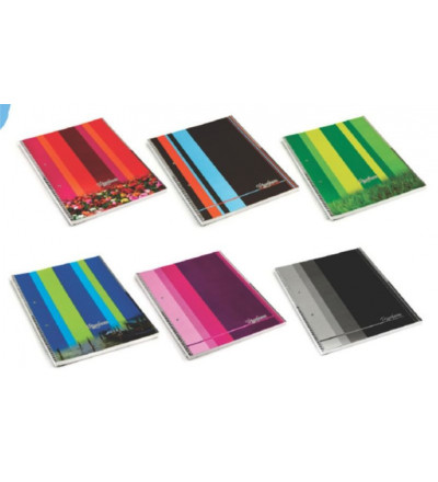 CUADERNO TRIUNFANTE 29X7 80 HOJAS CUADRICULADO BANDAS