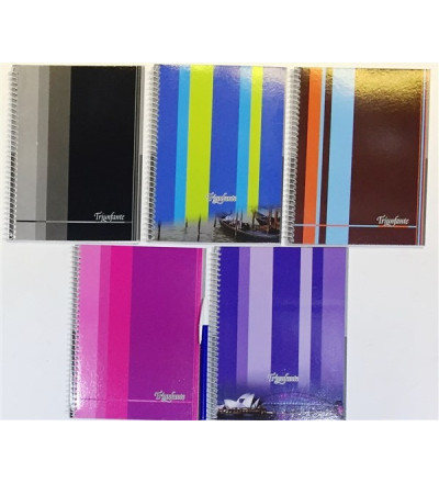 CUADERNO TRIUNFANTE 16X21 40 HOJAS RAYADO