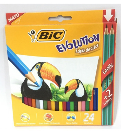 LAPICES DE COLOR BIC EVOLUTION X 24 UNIDADES