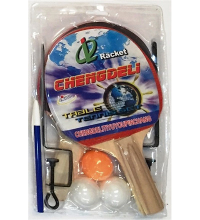 SET PING PONG CON 3 PELOTITAS Y RED