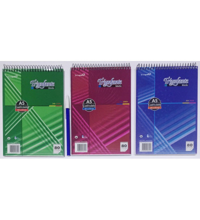 BLOCK TRIUNFANTE A5 80 HOJAS CUADRICULADO