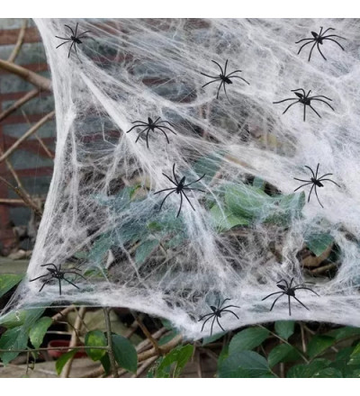 TELARANA RHADA 120 CM